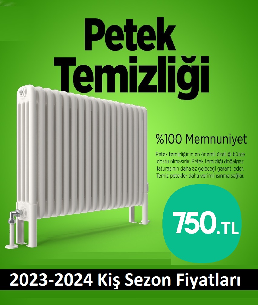 Sultanbeyli Petek Temizliği Tek Fiyat Teklifi Al